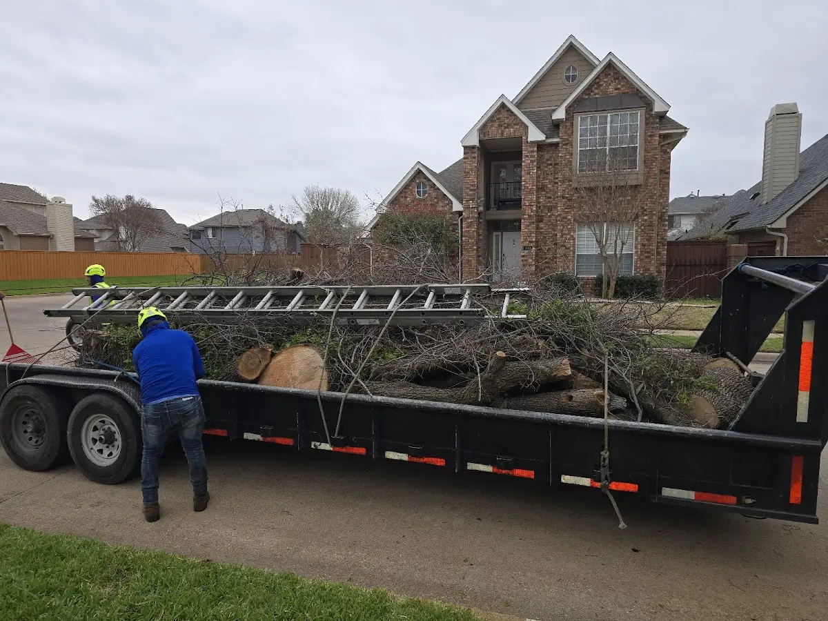 Expert Tree Fertilization with proper safety equipment in Atkins
